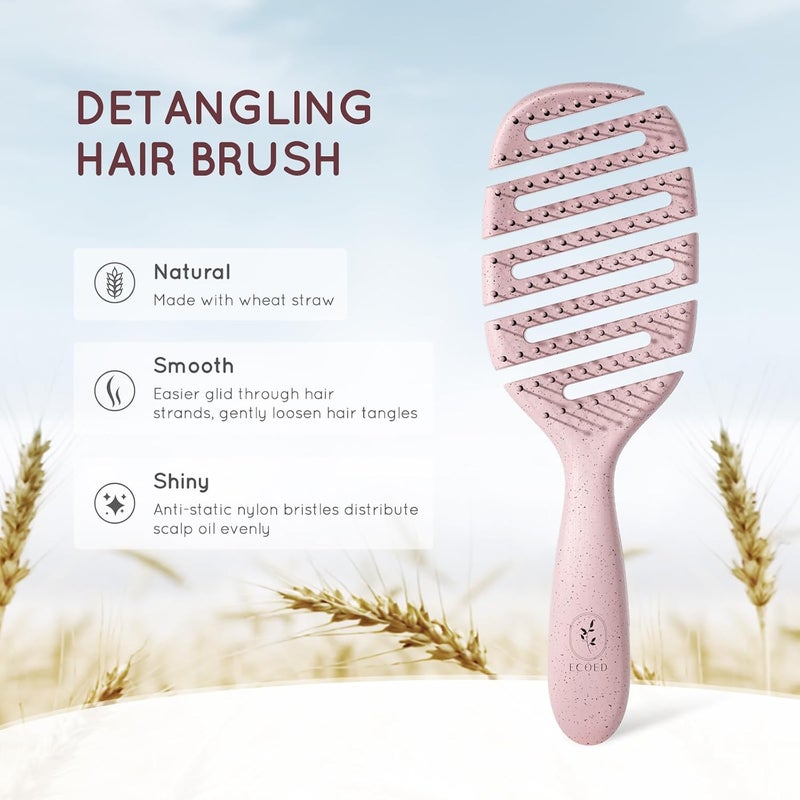 ecoed Detangler Hairbrush, Vented Detangling Brush for Straight, Wavy, Curly and Fine Hair, Quick Smoothing for Women and Men, Eco-Friendly & Sustainable Material (Pink) - Image 2